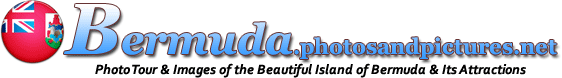 Bermuda Picture Gallery Site Banner
