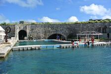 Dolphin interaction pool at Bermuda National Museum compound.jpg