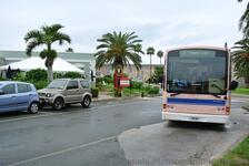 Pink Bus number 7 arrives at Bermuda Dockyard Stop.jpg