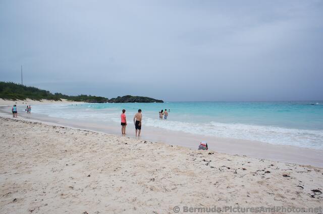 Horseshoe Bay Beach pink sand & waters.jpg
