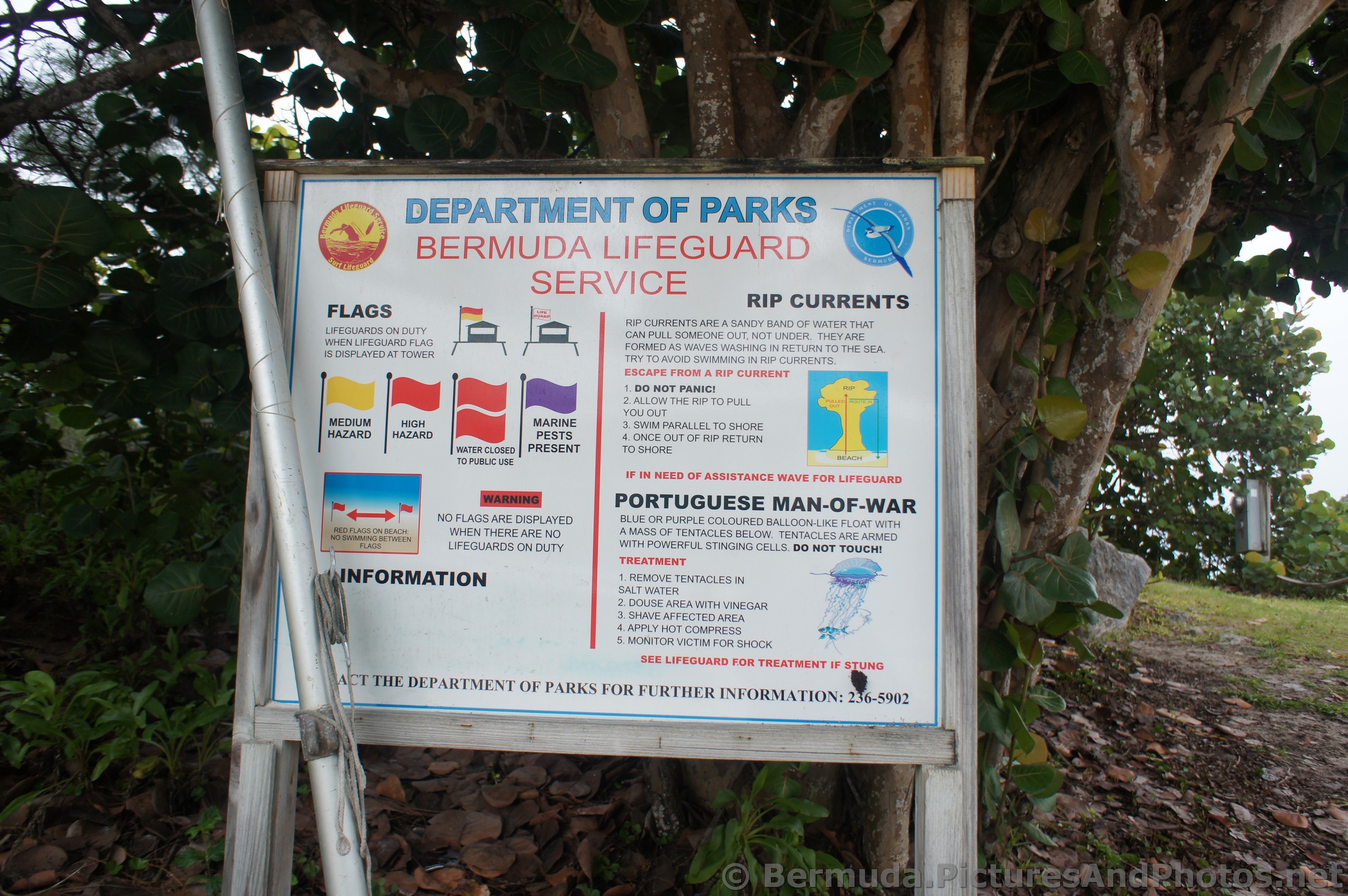 Bermuda Lifeguard Service sign at Horseshoe Bay.jpg