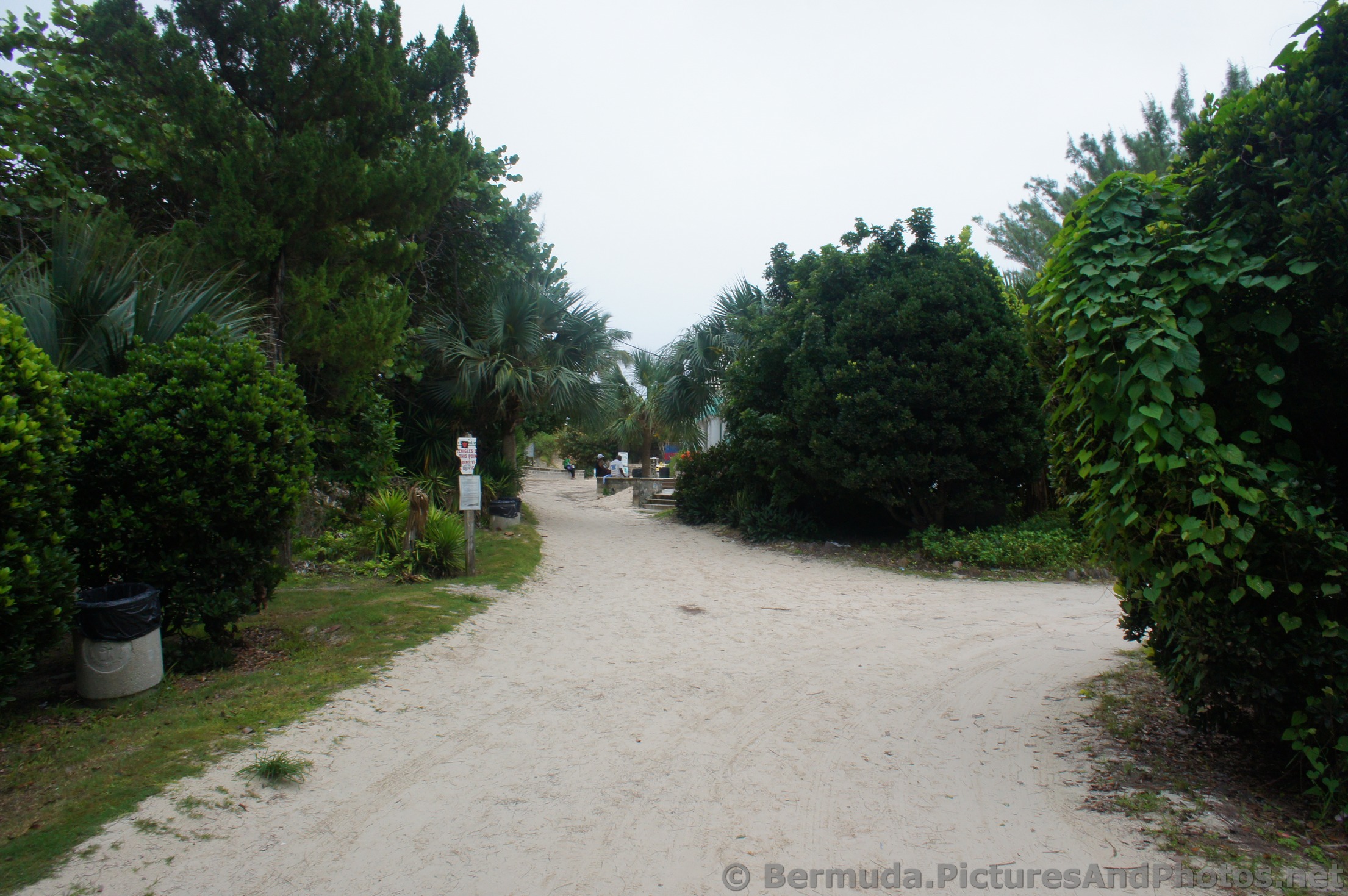 Paths to Horseshoe Bay Beach from parking lot.jpg