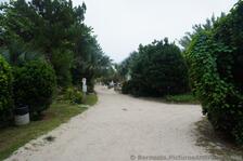 Paths to Horseshoe Bay Beach from parking lot.jpg