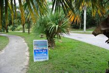 $2 Shuttle Bus service takes you from top of Horseshoe Rd to Horseshoe Bay beach Bermuda.jpg