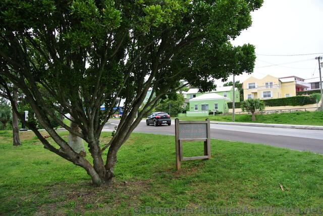 South Shore Park Entrance Horseshoe Bay Bermuda.jpg