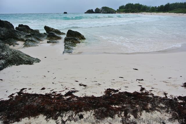 Waves coming in at east-end of Horseshoe Bay Beach.jpg