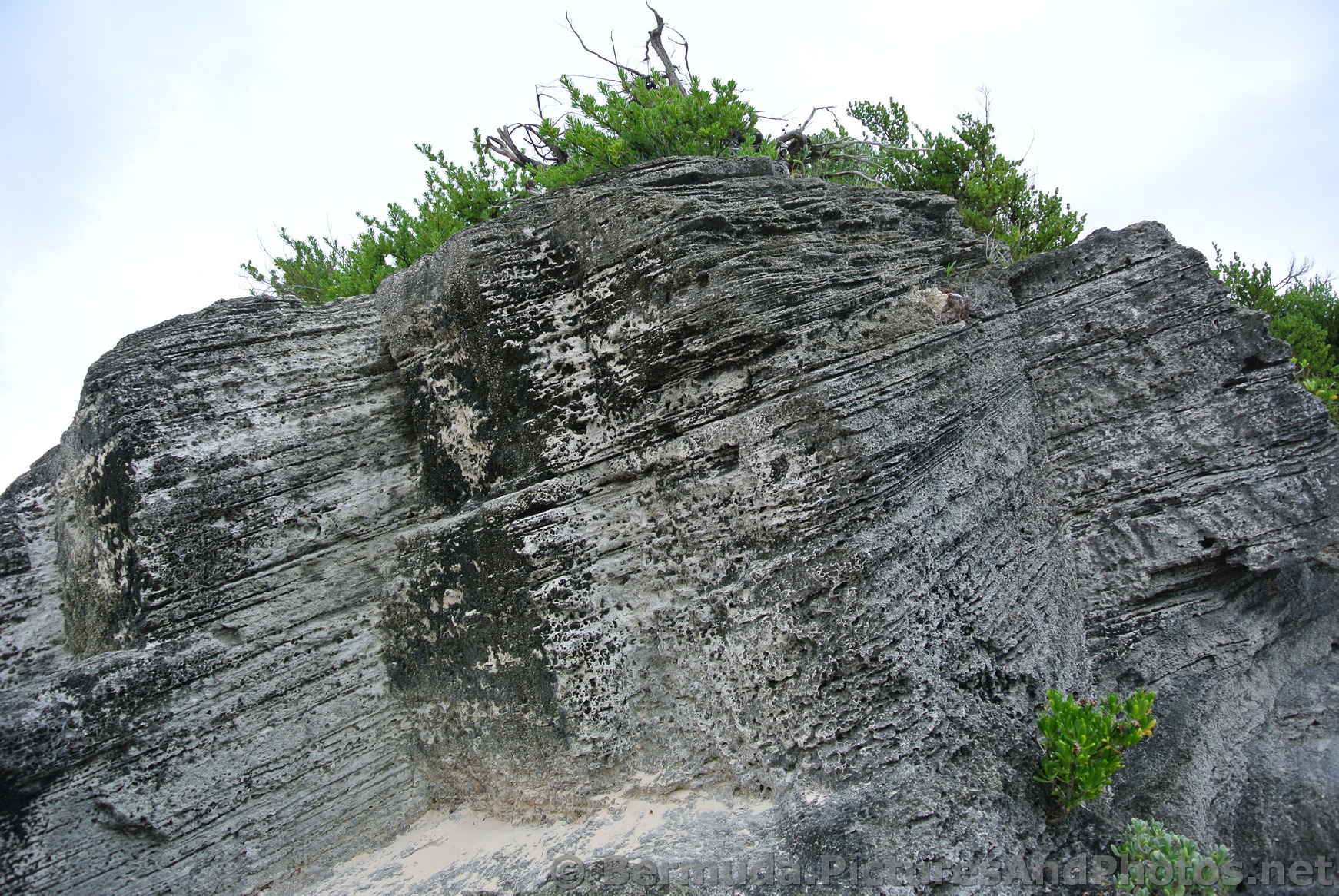 Large Striated Rock at Horseshoe Bay Beach.jpg