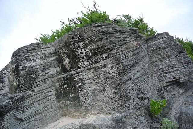 Large Striated Rock at Horseshoe Bay Beach.jpg
