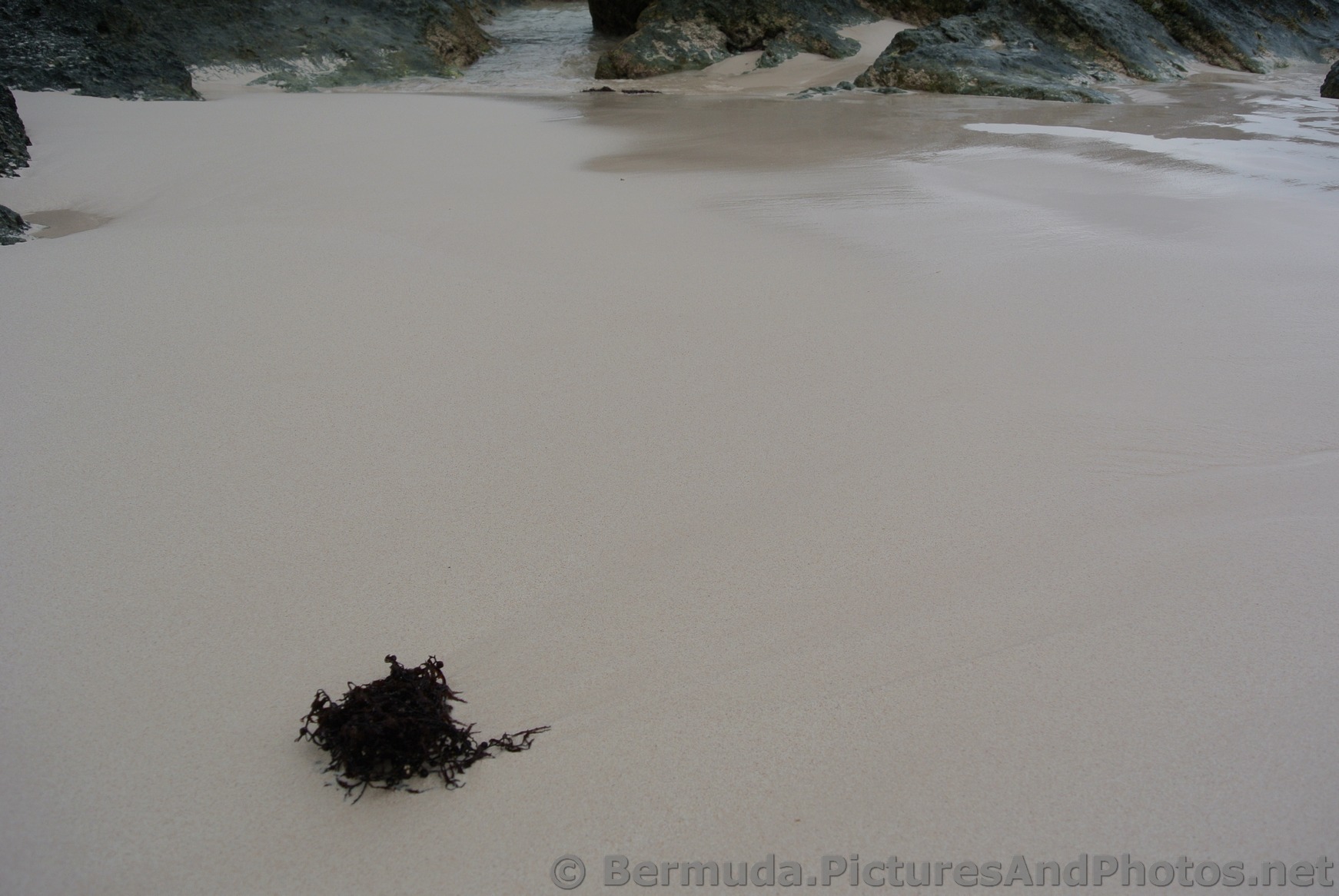 Seaweed on the sand at Horseshoe Bay Beach.jpg