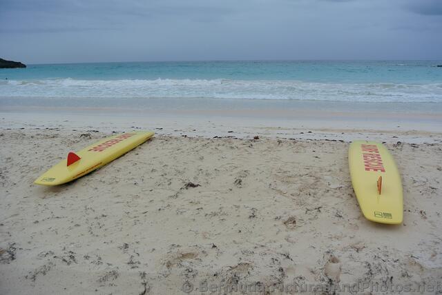 Surf boards at Horseshoe Bay Beach.jpg