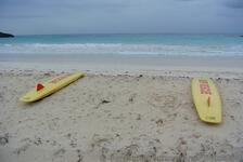 Surf boards at Horseshoe Bay Beach.jpg