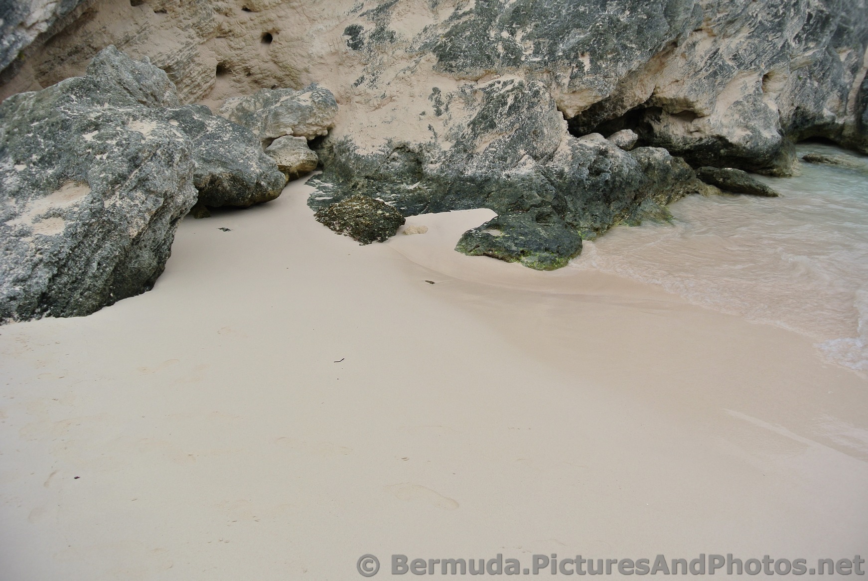 Pink sand at Horseshoe Bay Cove Bermuda.jpg