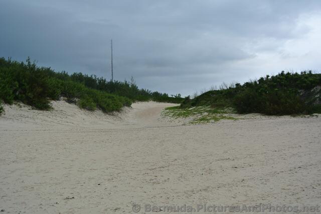 Path away from the beach near Horseshoe Bay beach.jpg