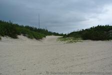 Path away from the beach near Horseshoe Bay beach.jpg