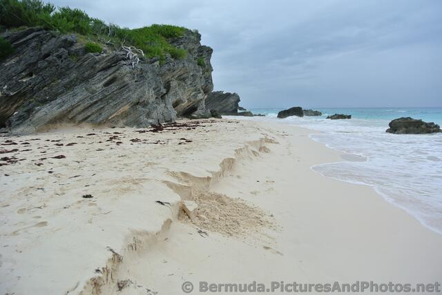 Middle Beach Bermuda near Horseshoe Bay Beach.jpg