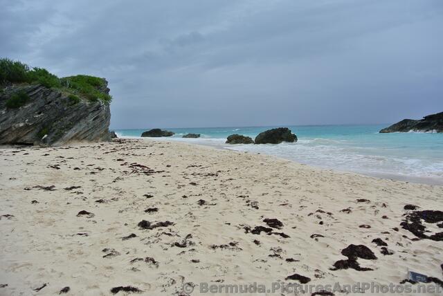 Serene Butts Beach Bermuda.jpg