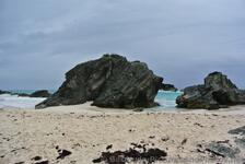 Large Rocks & Seaweed at Horseshoe Bay Butts Beach.jpg
