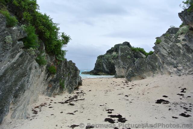 Between Horseshoe Bay Beach & Butts Beach.jpg
