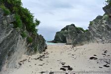 Between Horseshoe Bay Beach & Butts Beach.jpg
