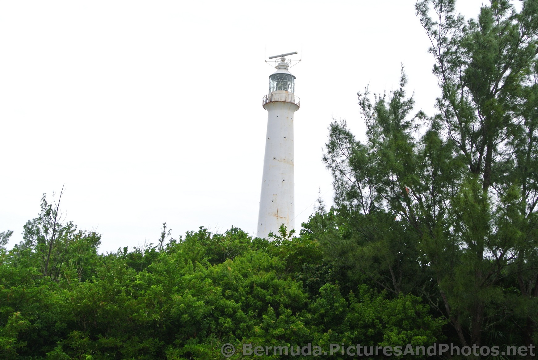 Gibb's Hill lighthouse viewed from Lighthouse Road Bermuda.jpg