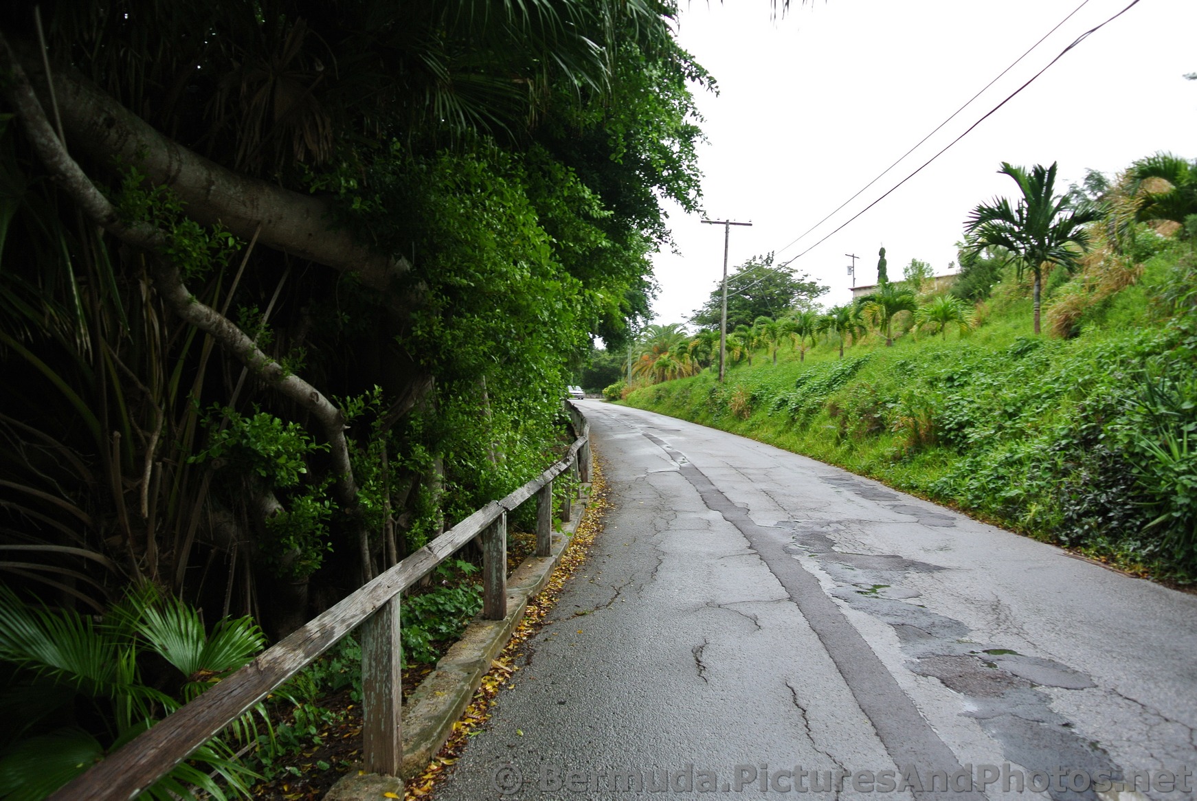 Traversing Lighthouse Road Bermuda to Gibb's Lighthouse.jpg