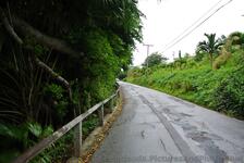 Traversing Lighthouse Road Bermuda to Gibb's Lighthouse.jpg