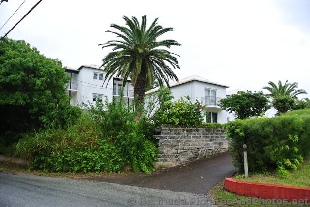 White Houses on Lighthouse Road Bermuda.jpg