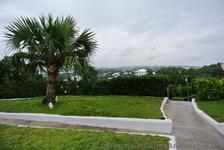 View towards Hamilton from Gibbs Hill.jpg