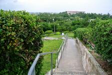 Stairs decending away from Gibbs Hill.jpg