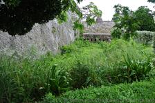 Overgrowth of plants next to a section of walls of Bermuda Royal Naval Dockyard.jpg