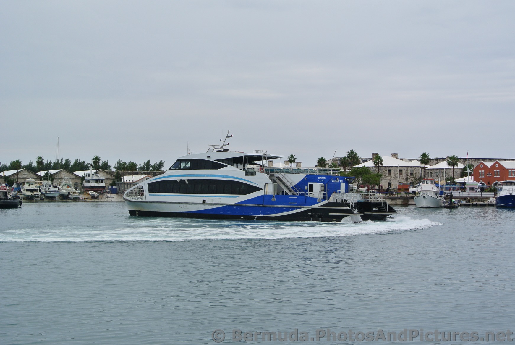 Bermuda Ferry Warbaby Fox at Dockyard.jpg
