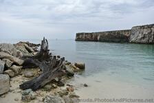 Rocks & Old Drift Wood & View of Dockyard Walls from Snorkel Park Beach Bermuda.jpg