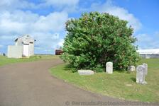 Oleander plant & markers on grounds of Bermuda Maritime Museum.jpg
