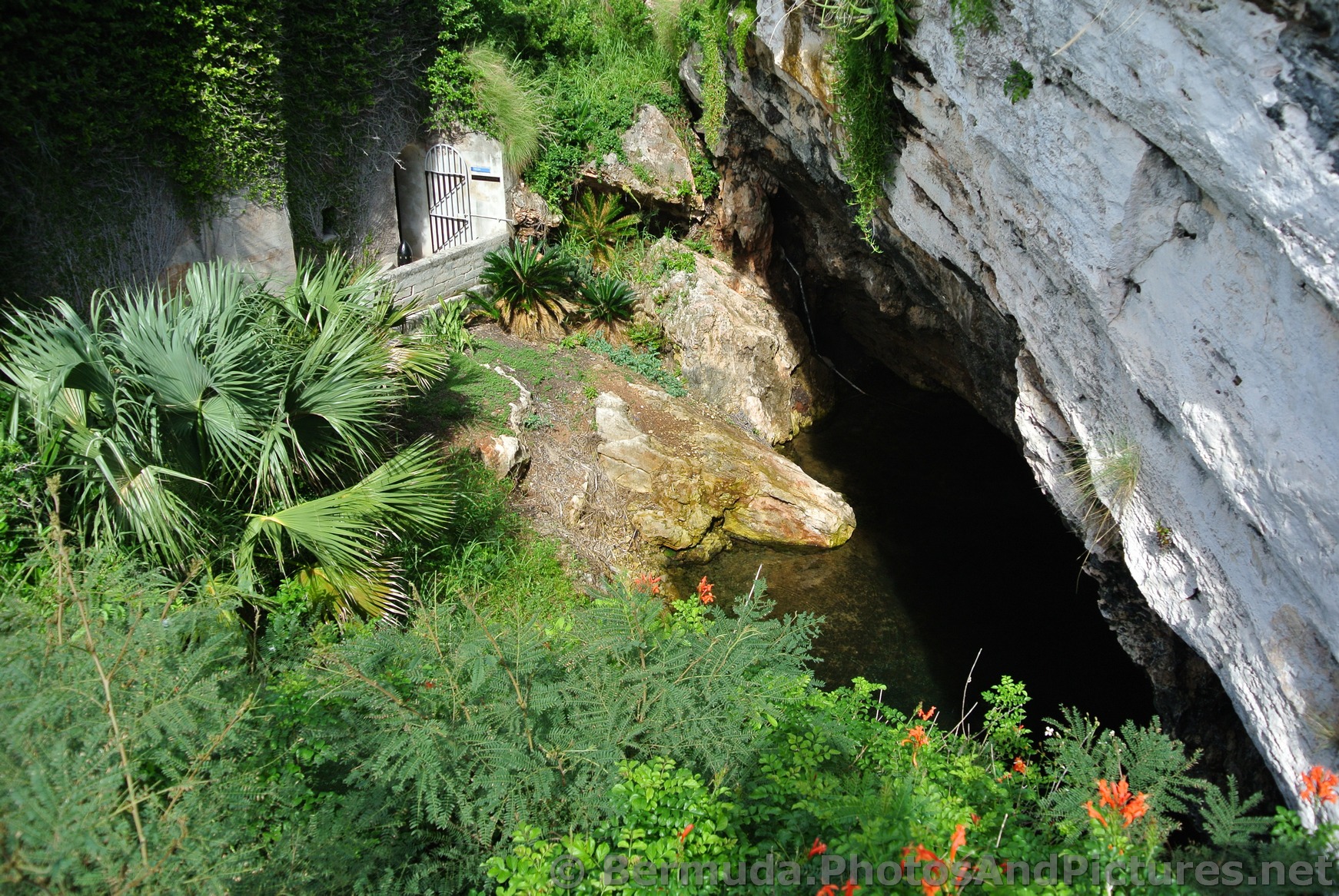 Cave at Commsioner's House Bermuda Maritime Museum.jpg