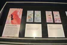 Bermuda $2 & $5 dollar bills Commsioner's House Bermuda Maritime Museum.jpg