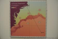 Gulf Stream Temperature Map between Newport & Bermuda Commsioner's House Bermuda Maritime Museum.jpg