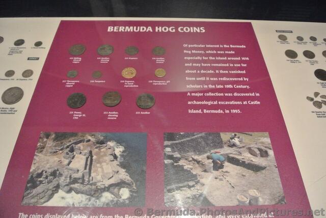 Bermuda Hog Coins Commsioner's House Bermuda Maritime Museum.jpg