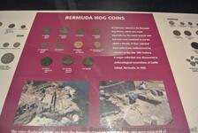 Bermuda Hog Coins Commsioner's House Bermuda Maritime Museum.jpg