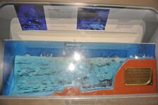 Sea Venture Wreck Site excavation exhibit at Queen's Exhibition Hall of National Museum of Bermuda.jpg