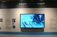 Stempel Family Gallery at Queen's Exhibition Hall of National Museum of Bermuda.jpg
