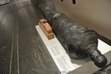 Cannon from 16th Century Queen's Exhibition Hall of National Museum of Bermuda.jpg