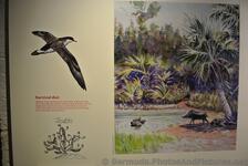 Survival diet info poster at Queen's Exhibition Hall of National Museum of Bermuda.jpg